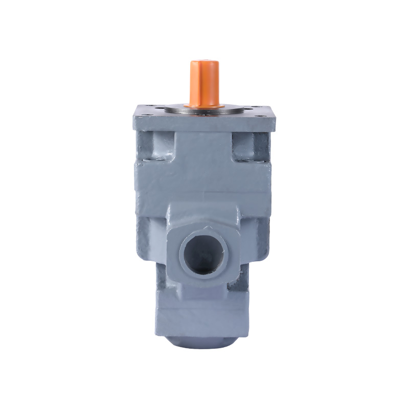 YB2-42 High Performance Double Pump Hydraulic Vane Pump With Medium And Low Pressure