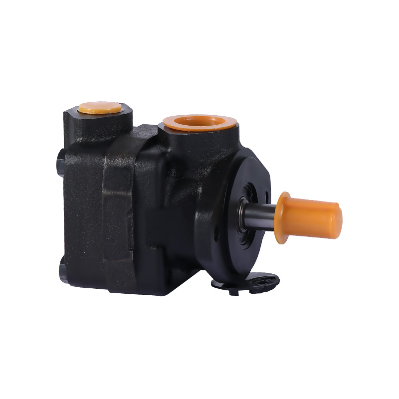 Engineered for Demanding Tasks: China Variable Vane Pump